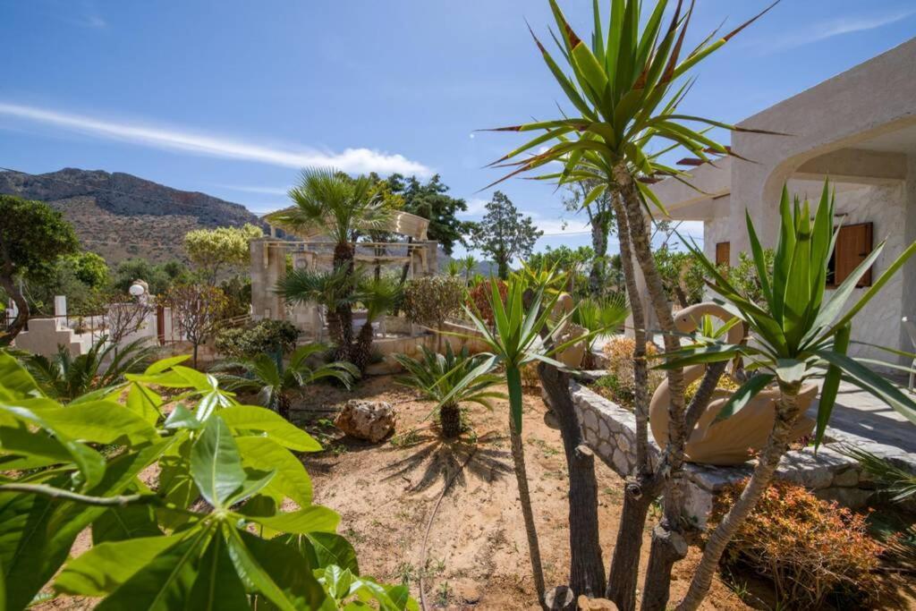 הוילה חאניה Renas Secret Garden House מראה חיצוני תמונה