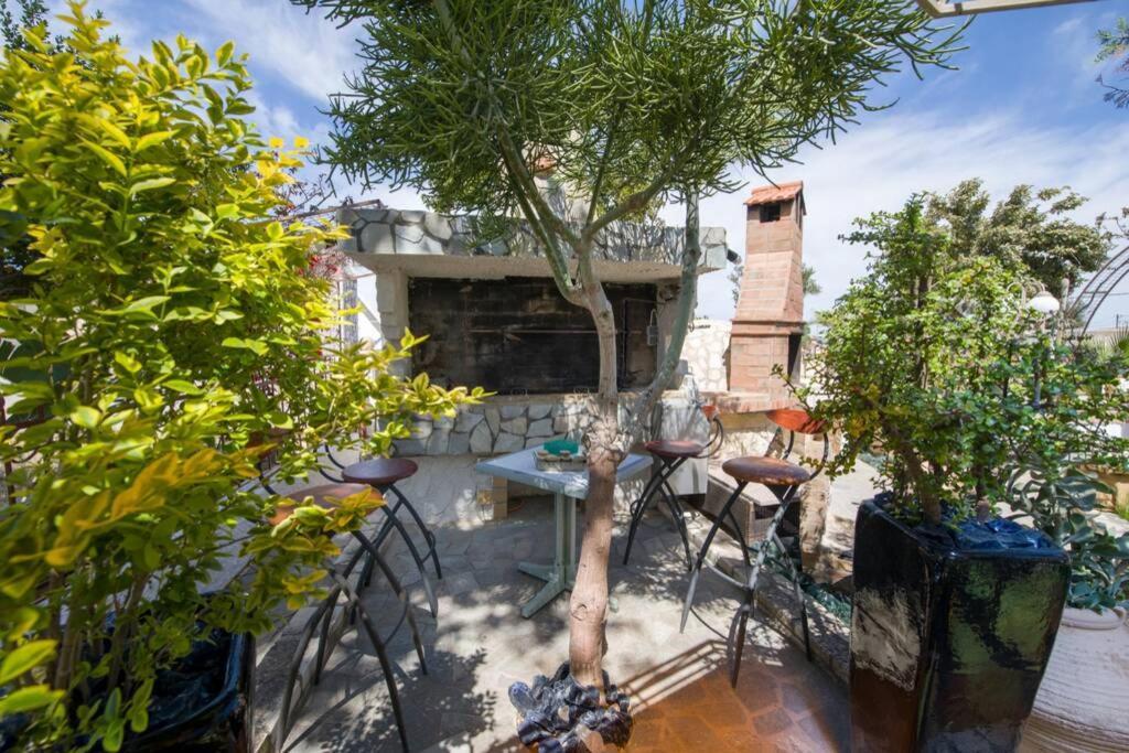 הוילה חאניה Renas Secret Garden House מראה חיצוני תמונה