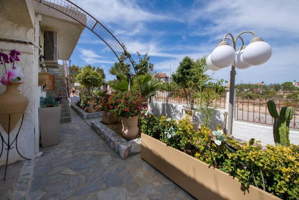 הוילה חאניה Renas Secret Garden House מראה חיצוני תמונה