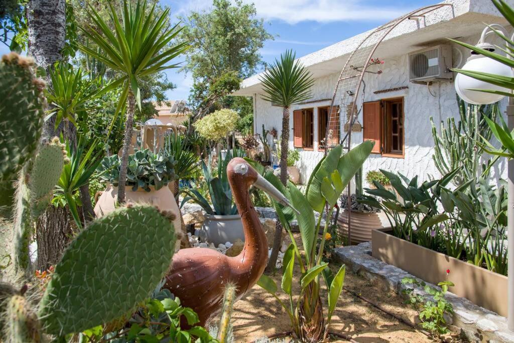 הוילה חאניה Renas Secret Garden House מראה חיצוני תמונה